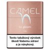 Camel for Ploom Tan 20/5,1g