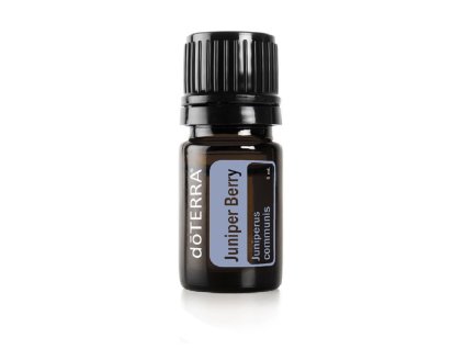 559 juniper berry borievka