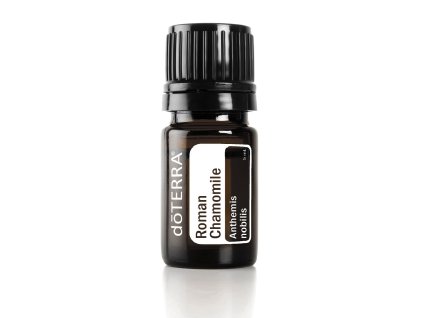 724 roman chamomile harmancek rimsky