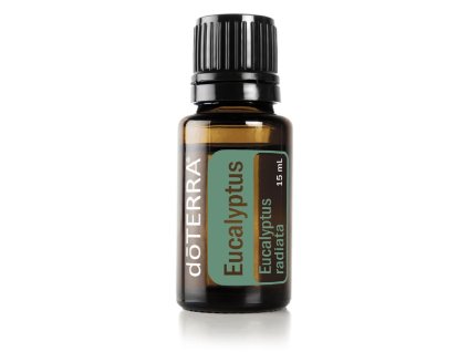 598 eukalyptus