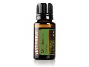 Melaleuca tea tree