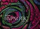 Hypnotic