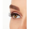 ARDELL Magnetické řasy s tek. link. - Demi Wispies