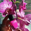 Zoya Lak na nechty 15ml 438 AUDRINA