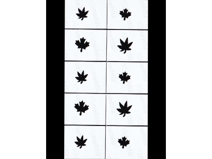 Dekorační šablony na nehty - motiv podzim