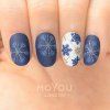 12563 2 image desticka moyou snow 04