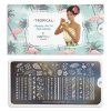 13653 5 image desticka moyou tropical 37