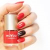 161 Red Lorry 01