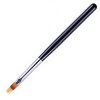ombre brush 1