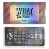 75. What the plate sleeve 01