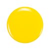 1321518.ZP1219 TAJI Summer24 Web 550x5509