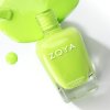 1321505.ZP1187 AVANI Summer24 Web 550x55015