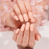 MANITIME gelové nálepky - Sweet Apricot