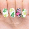 10703 2 image dosticka moyou tropical 35