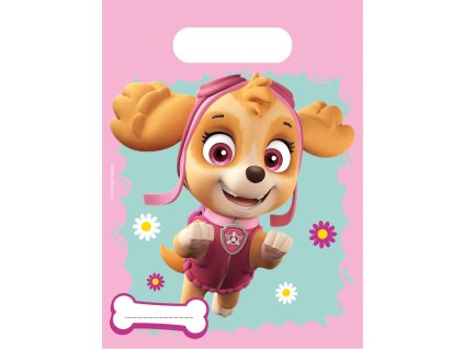 2674 igelitova taska skye a everest 6 ks