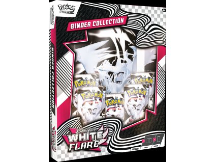 P10707 RSV10pt5 3D Binder Collection Box Left EN 1200x1656 ffd0843