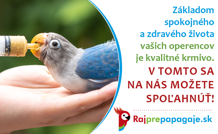 Krmivo pre papagáje