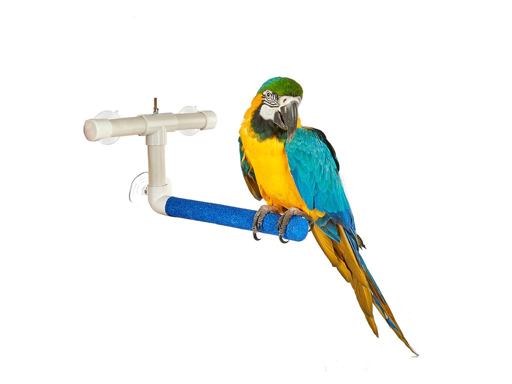 Sprchové bidlo pre papagáje a vtáky L
