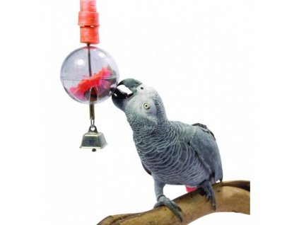 Špíz na ovocie pre papagáje a vtáky Sphere L