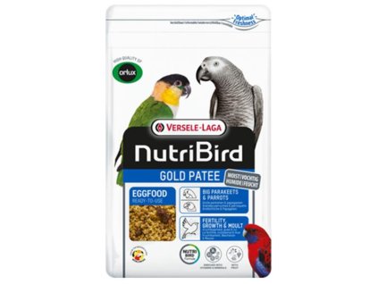 gold patee parrot