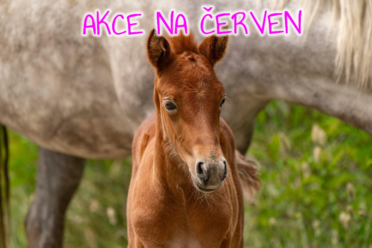 akce