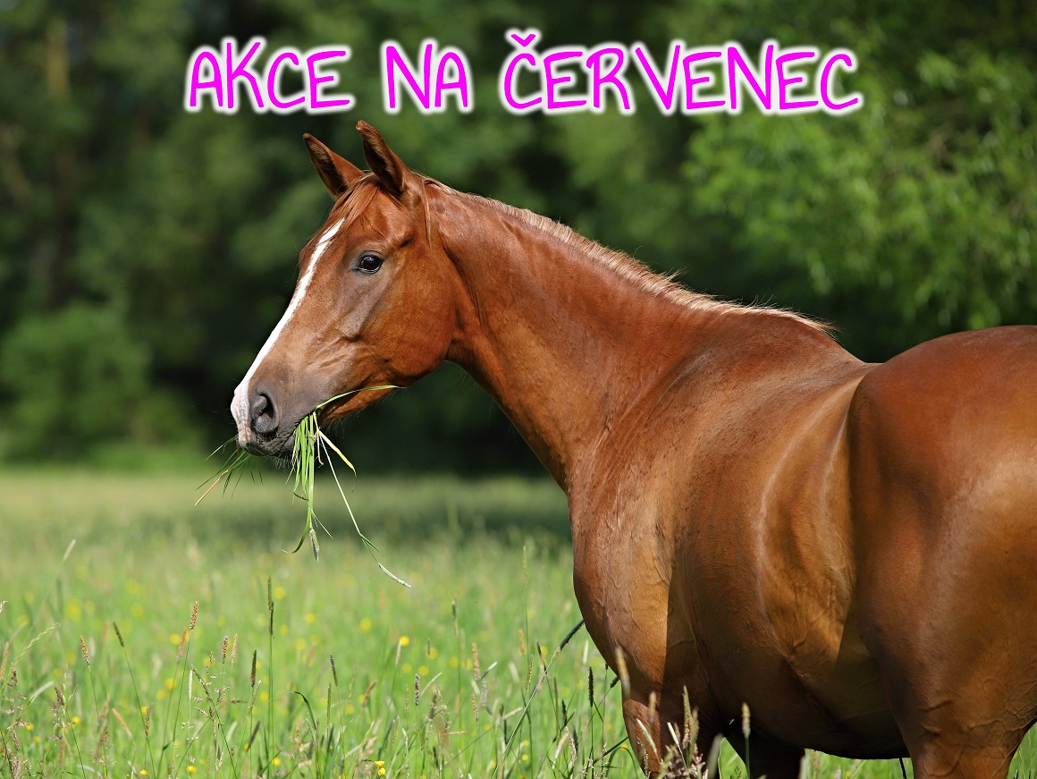 akce duben