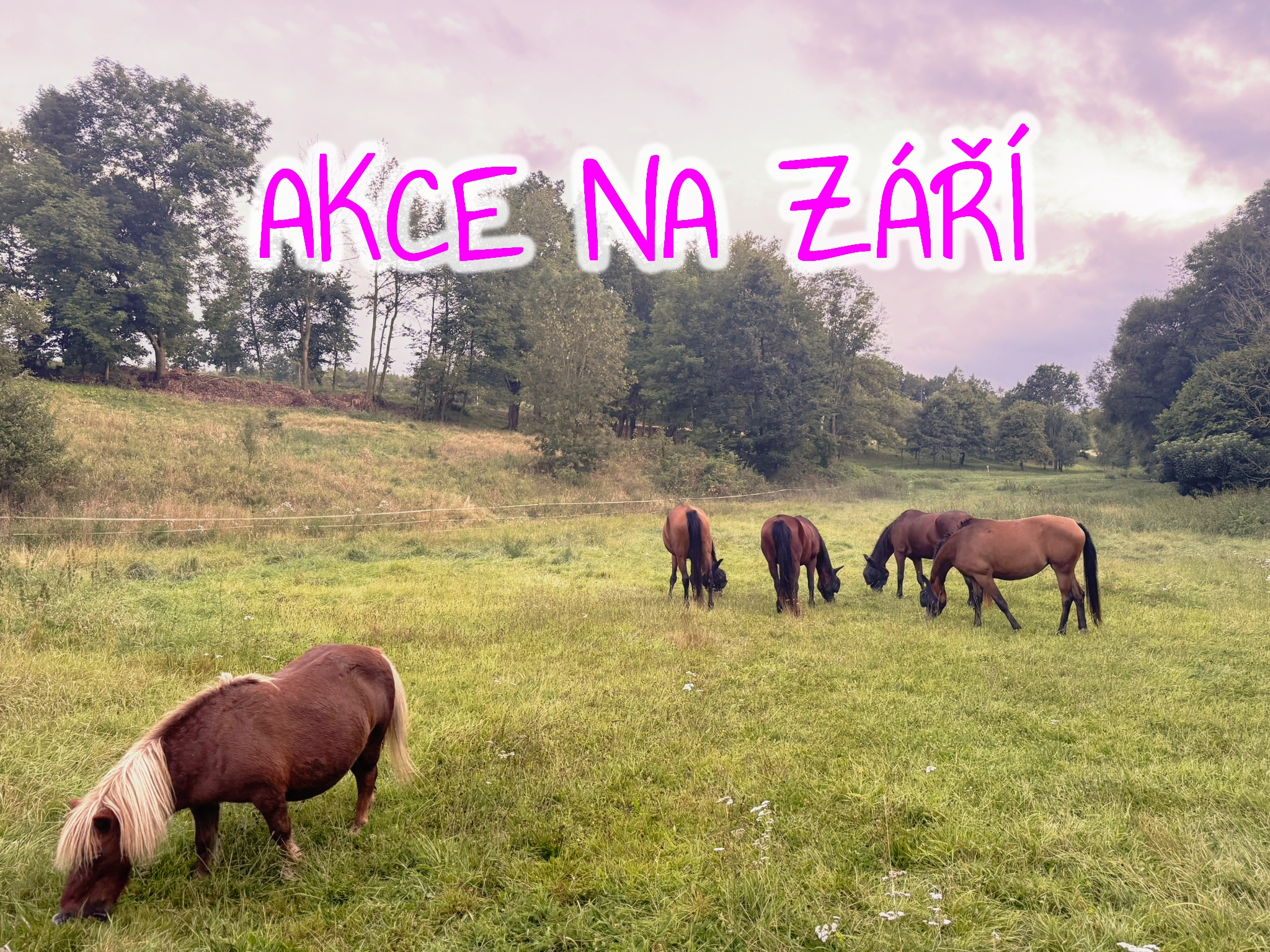 akce duben