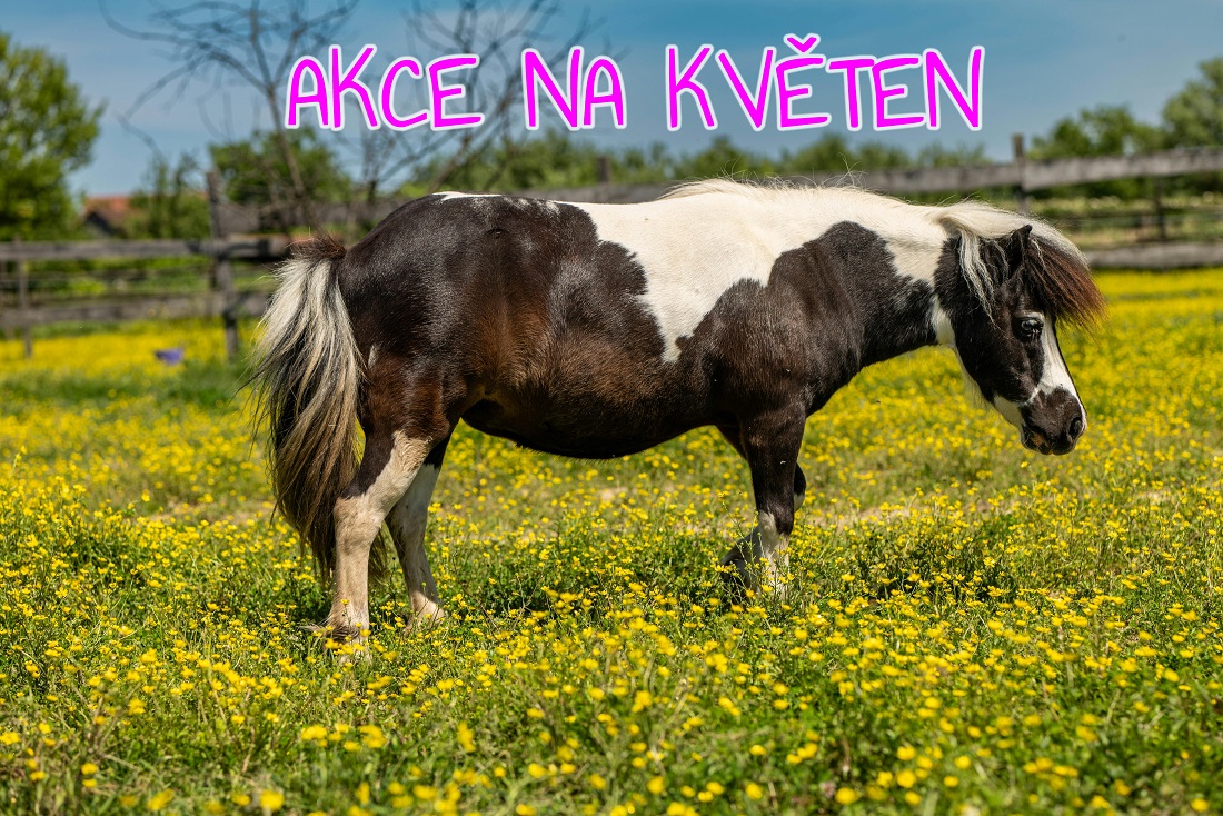 akce