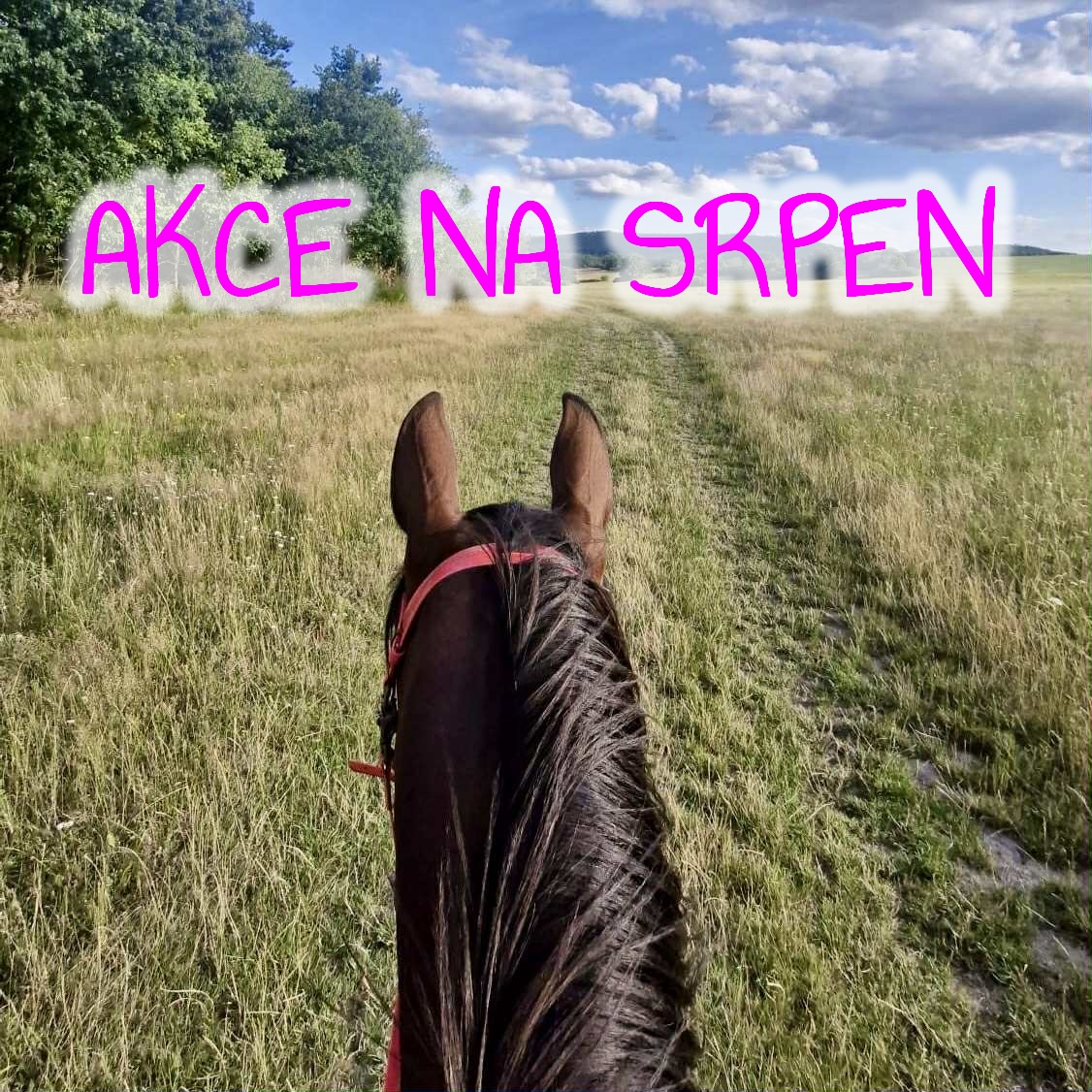 akce duben