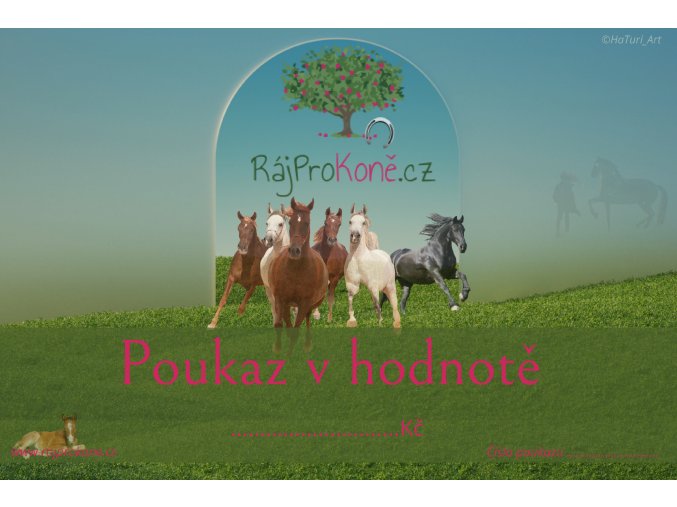 Dárkový poukaz 2024