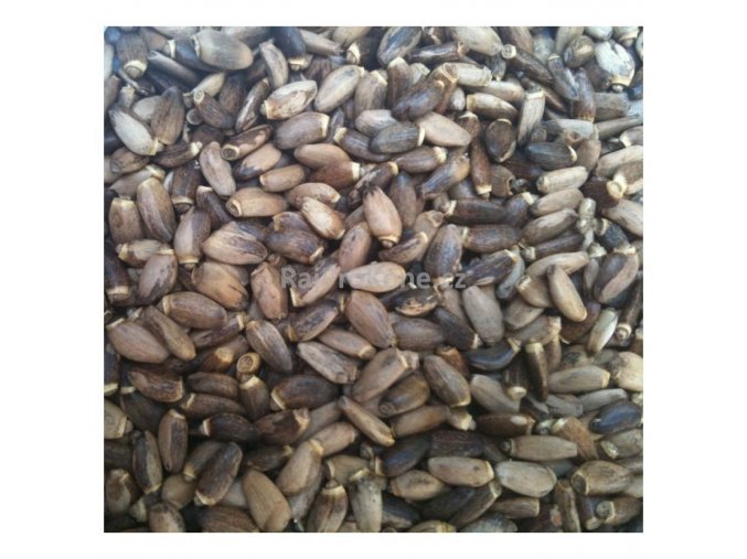 Ostropestřecové semeno, 3 kg