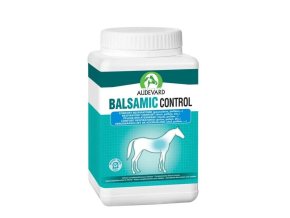 CONTROL I
