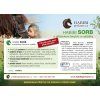 sorb