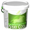 stay cool