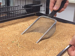 Jakou podestýlku zvolit na dno klece/voliéry