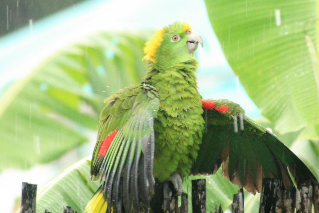 Jak zvládnout vysoké teploty
