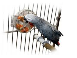 Hračky pro vašeho opeřence