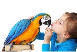 Papoušek a děti