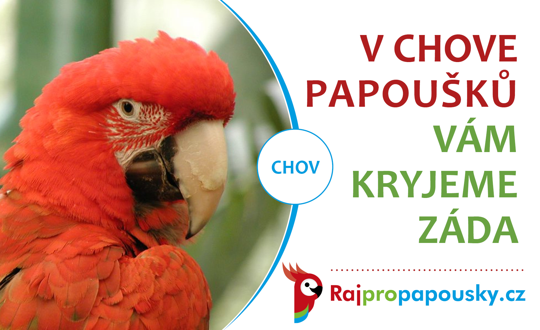 V chovu papoušků vám kryjeme záda