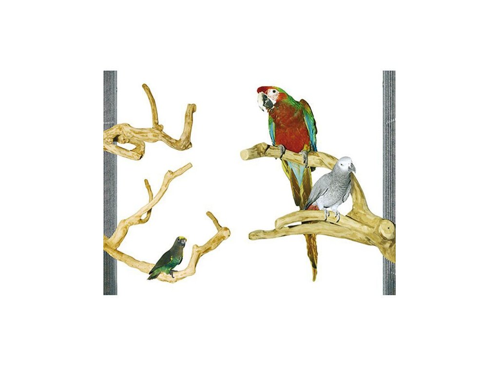 Bidlo pro papoušky a ptáky z kávovníkového dřeva XS