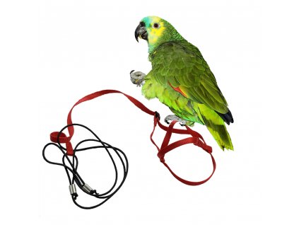 Kšíry a postroj pro papoušky a ptáky (bez karabinek) S červené