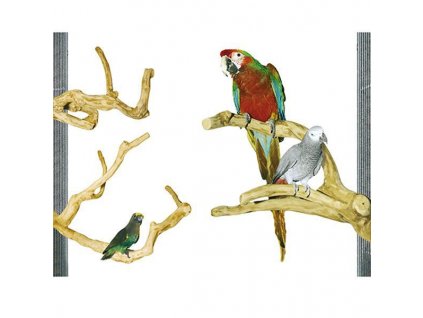 Bidlo pro papoušky a ptáky z kávovníkového dřeva L