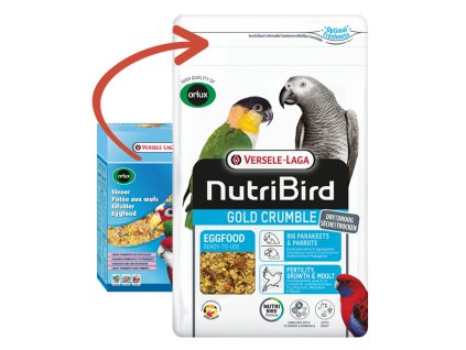 crumble parrot