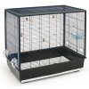 Klec pro malé ptáky a papoušky Nobby Primo 60 černá