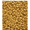 Granule pro velké papoušky Nutribird P15 Original 10kg