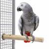 Kávovníkové bidlo pro papoušky a ptáky L