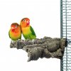 Korkové bidlo pro papoušky a ptáky Posezení z korkového dřeva M