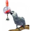 Špíz na ovoce pro papoušky a ptáky Sphere L