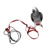 Kšíry a postroj pro papoušky a ptáky M (bez karabinek) červené