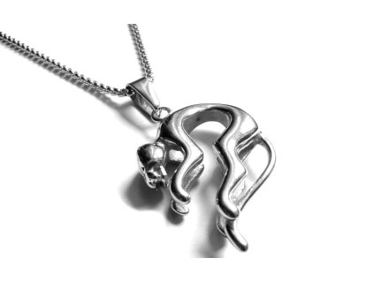 řetízek a přívěsek - chirurgická ocel